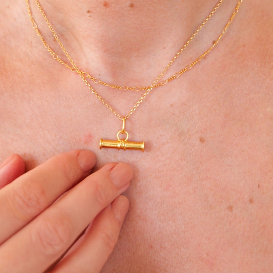 Gold t-bar necklace and figaro chain on a person's neck